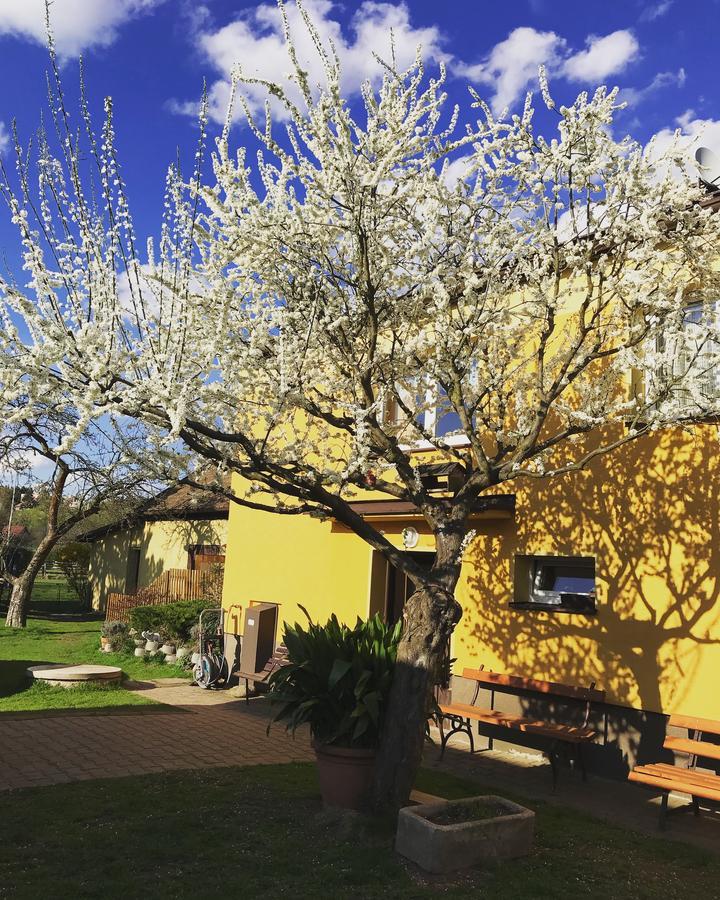 Apartman Novakovi Náchod Exterior foto