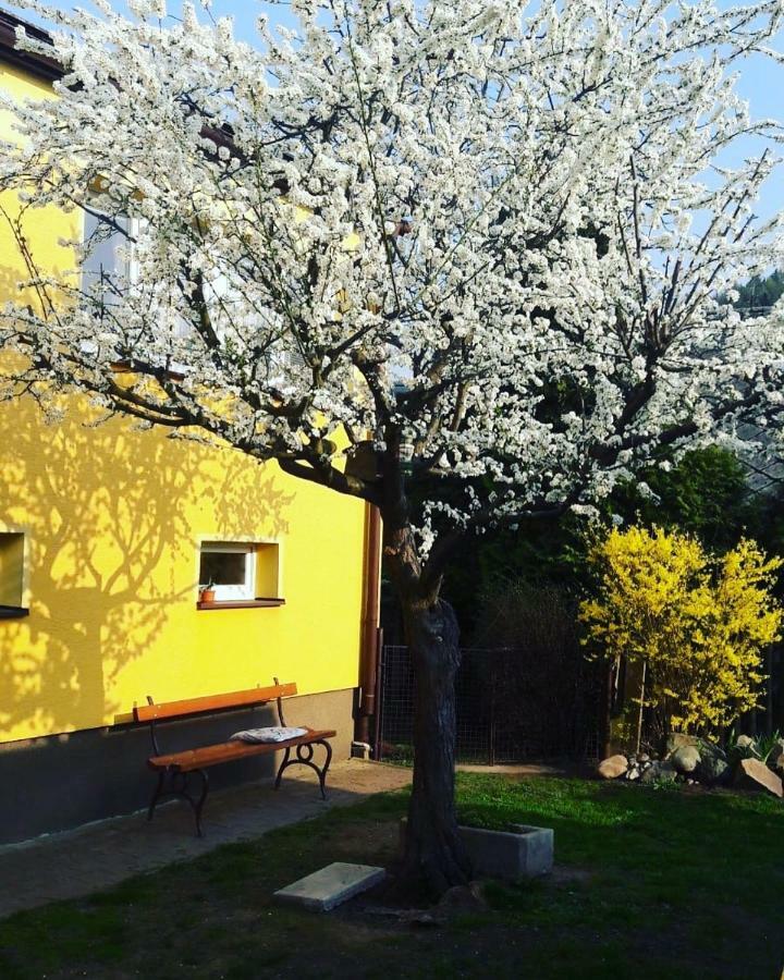 Apartman Novakovi Náchod Exterior foto